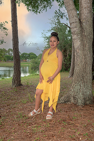 Camila Maternity (4)