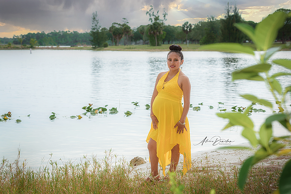 Camila Maternity (7)