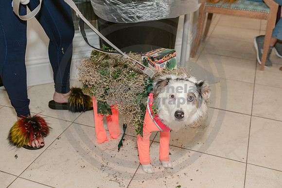 2024-10-30 CVC Halloween Soiree'-118
