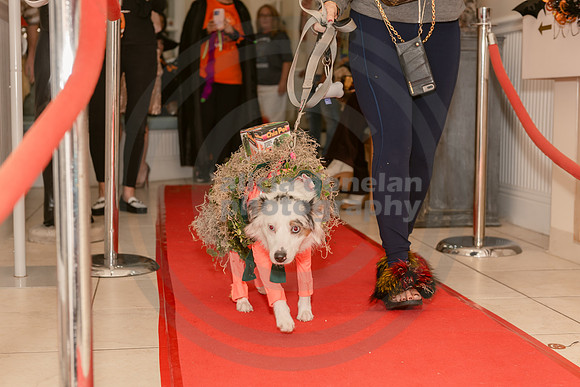 2024-10-30 CVC Halloween Soiree'-136