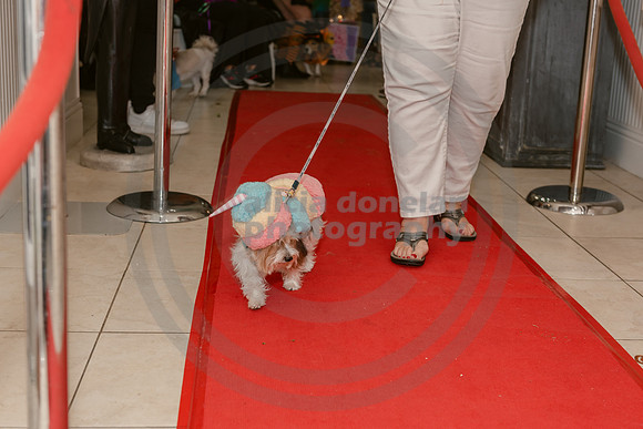 2024-10-30 CVC Halloween Soiree'-157