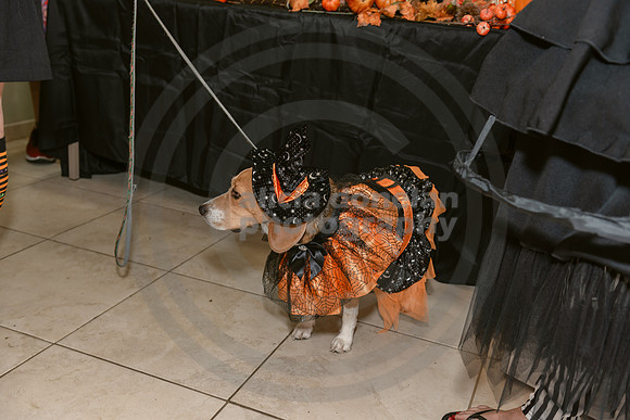 2024-10-30 CVC Halloween Soiree'-160