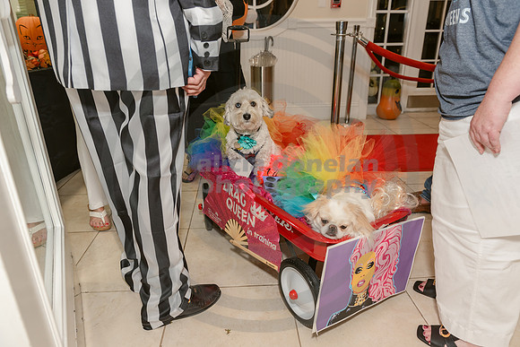 2024-10-30 CVC Halloween Soiree'-215