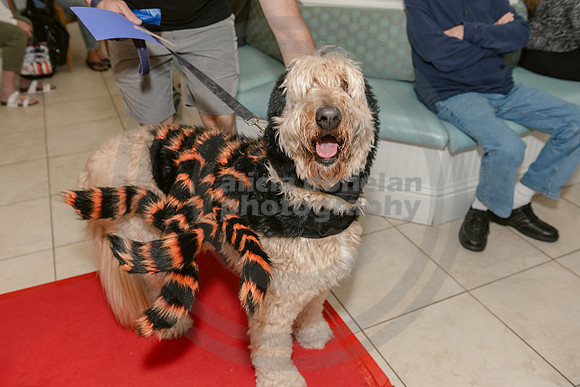 2024-10-30 CVC Halloween Soiree'-87