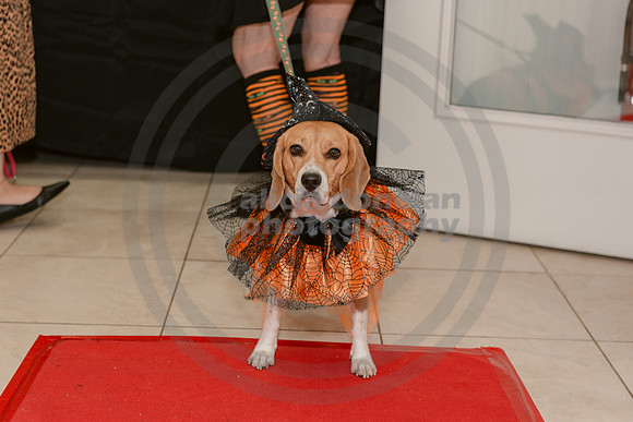 2024-10-30 CVC Halloween Soiree'-90
