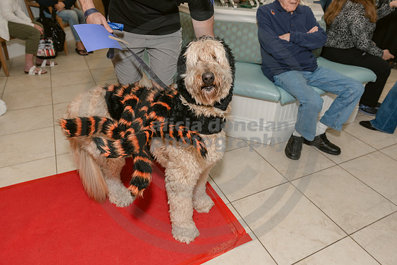 2024-10-30 CVC Halloween Soiree'-88