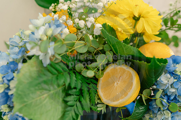 2026-08-15 Jen Magi Bridal Shower-18
