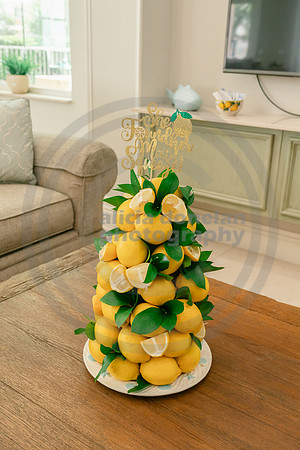 2026-08-15 Jen Magi Bridal Shower-29