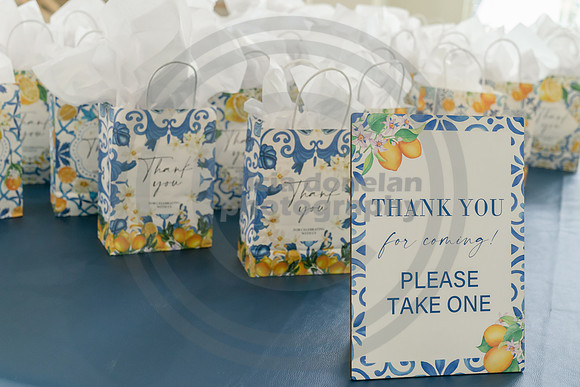 2026-08-15 Jen Magi Bridal Shower-104