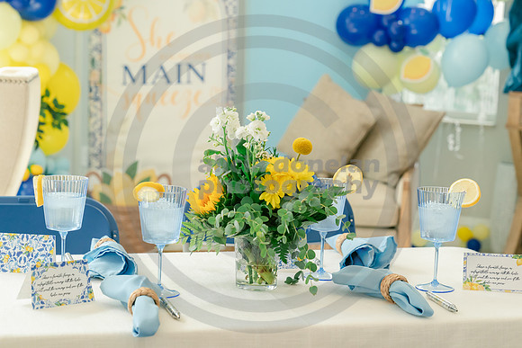 2026-08-15 Jen Magi Bridal Shower-109