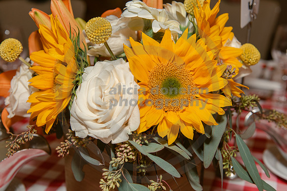 0037