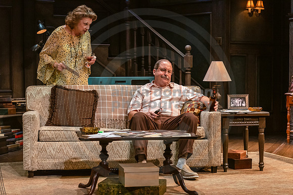 2023-03-28 PBD 'August-Osage County Dress-16