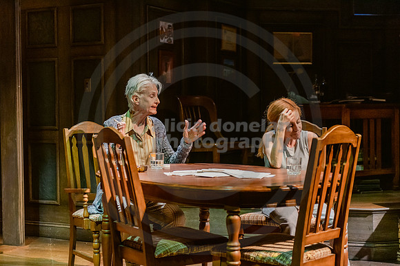 2023-03-28 PBD 'August-Osage County Dress-31