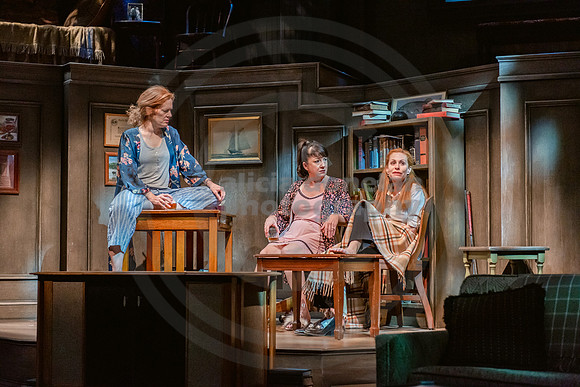 2023-03-28 PBD 'August-Osage County Dress-212