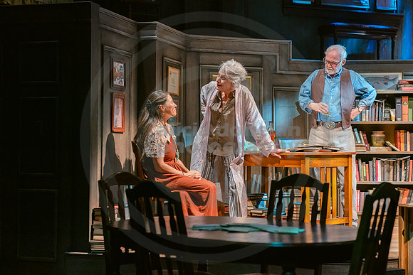 2023-03-28 PBD 'August-Osage County Dress-232