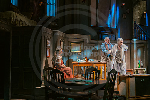 2023-03-28 PBD 'August-Osage County Dress-234