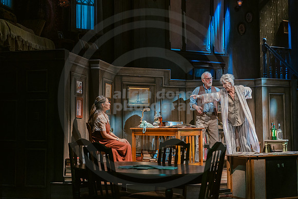 2023-03-28 PBD 'August-Osage County Dress-235