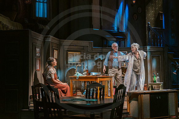 2023-03-28 PBD 'August-Osage County Dress-238