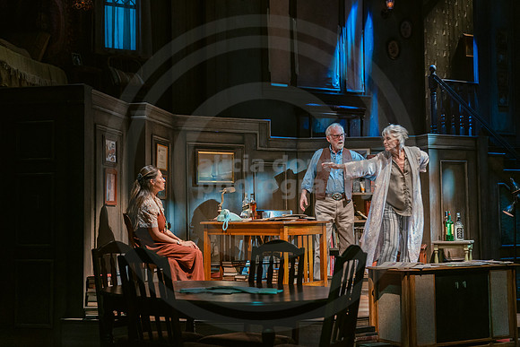 2023-03-28 PBD 'August-Osage County Dress-239