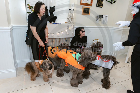 Calusa 2026 Halloween Soiree-38