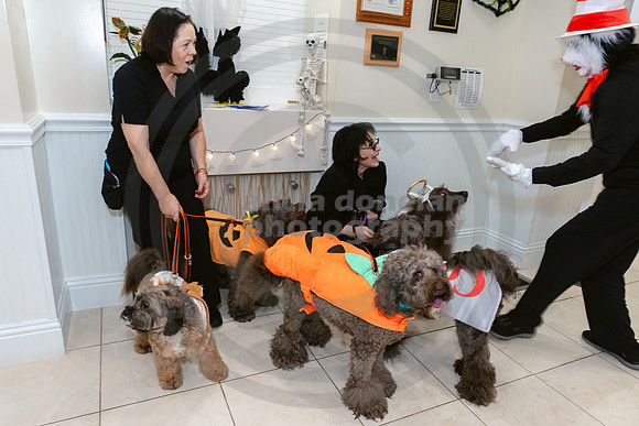 Calusa 2026 Halloween Soiree-39