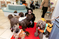 Calusa 2026 Halloween Soiree-13