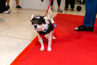 Calusa 2026 Halloween Soiree-20