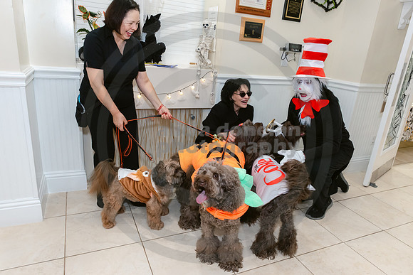 Calusa 2026 Halloween Soiree-43