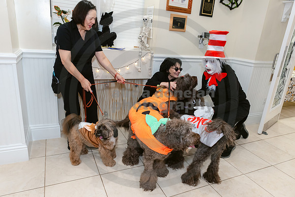 Calusa 2026 Halloween Soiree-44