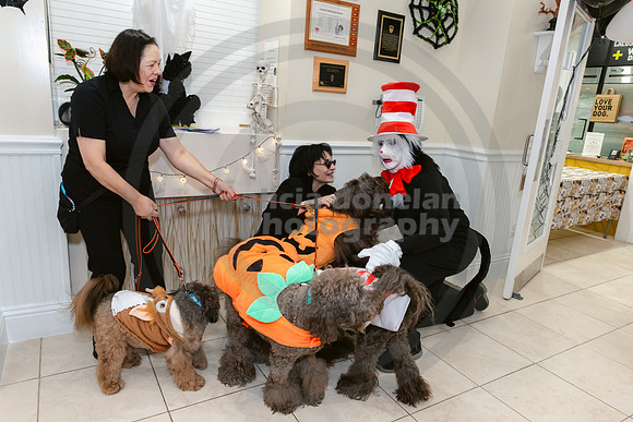 Calusa 2026 Halloween Soiree-45