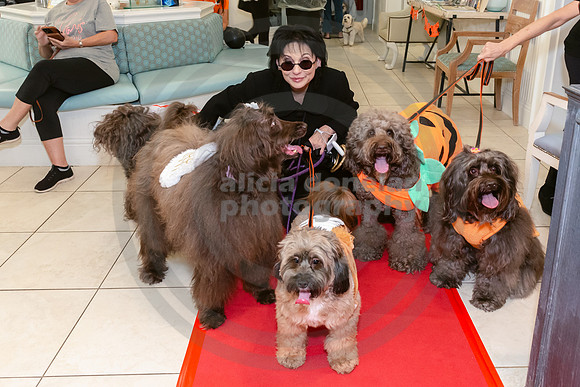 Calusa 2026 Halloween Soiree-11