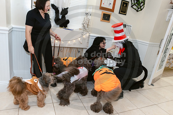 Calusa 2026 Halloween Soiree-53