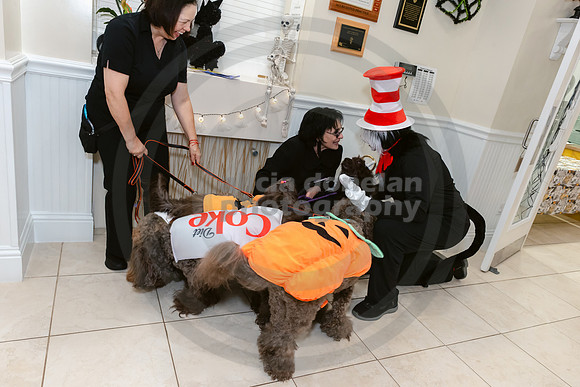 Calusa 2026 Halloween Soiree-50