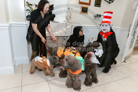Calusa 2026 Halloween Soiree-42