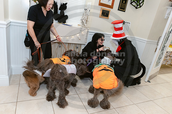Calusa 2026 Halloween Soiree-51