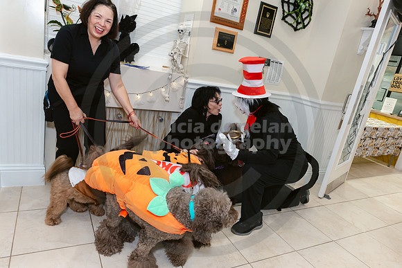 Calusa 2026 Halloween Soiree-48